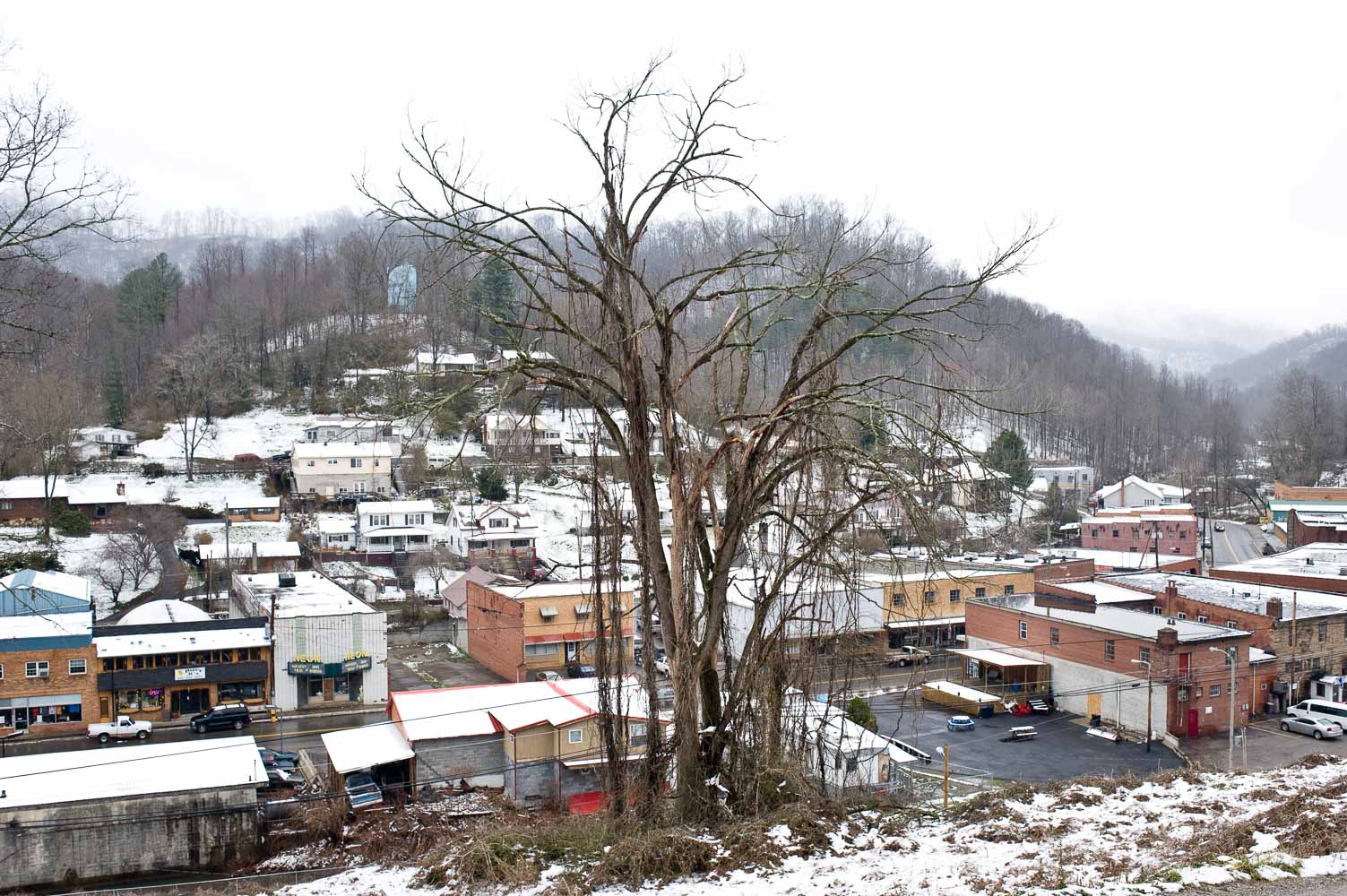 portraits from neon-fleming ky