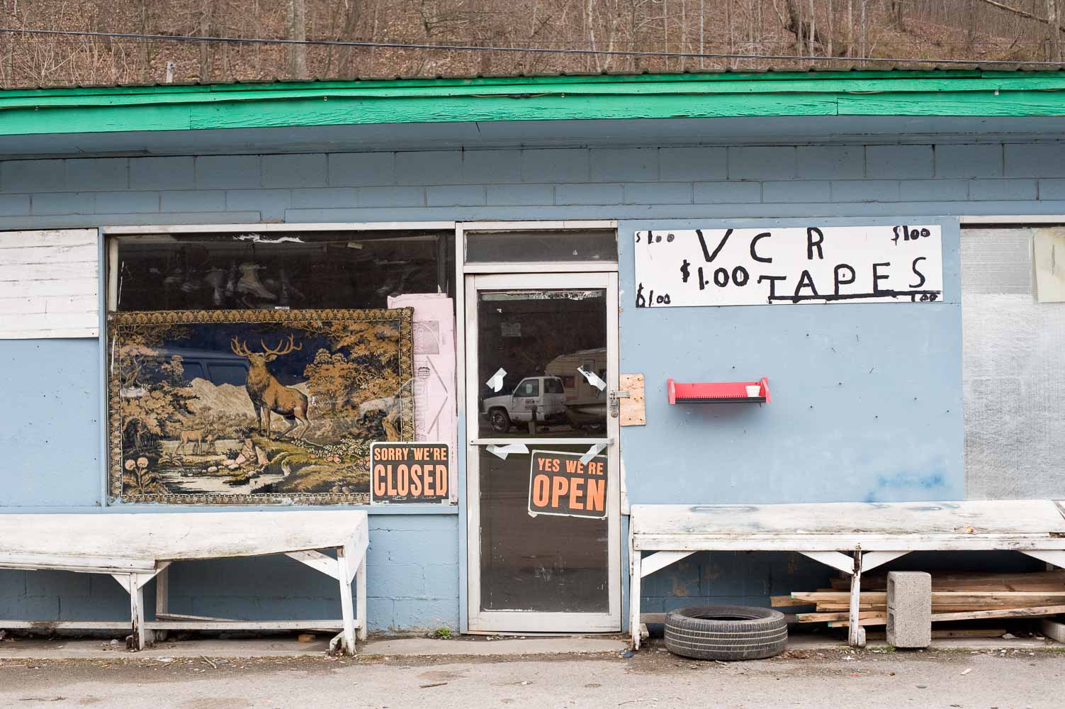 portraits from neon-fleming ky